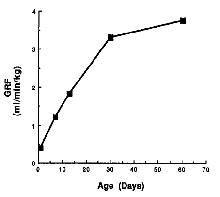 Figure : Evolution du débit de filtration glomérulaire (GRF)  au cours des 2 premiers mois de  vie du chiot 