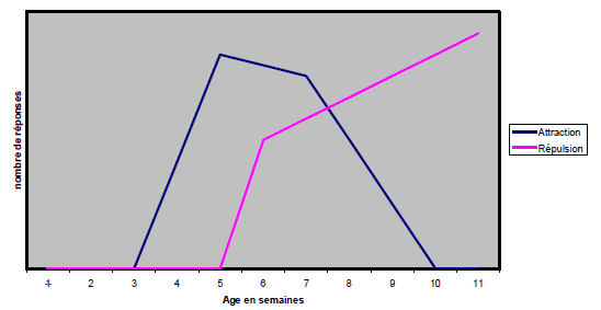 Figure : Représentation schématique des phénomènes d’attraction et répulsion chez le chiot