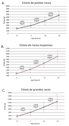 Figure : Evolution du poids au cours des 21 premiers jours de vie chez les chiots de petit format (A), de format moyen (B) et de grand format (C) 