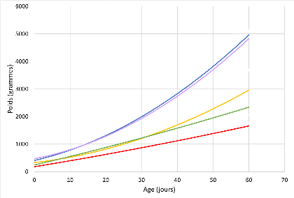 Figure : Courbes de croissance médiane de l’espèce canine et des différents formats raciaux lissées avec une fonction polynomiale du second degré 